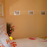 Orange Flower 1