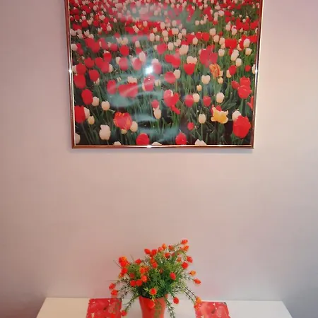 Orange Flower 1 דירה