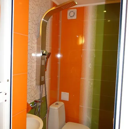 オレンジ フラワー 1 ソフィア