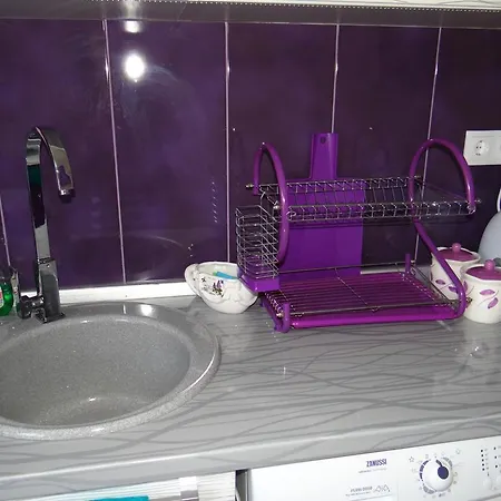 オレンジ フラワー 1 *