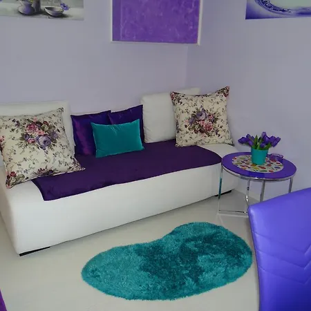 Orange Flower 1 Sofía