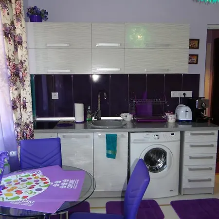 Orange Flower 1 Sofia