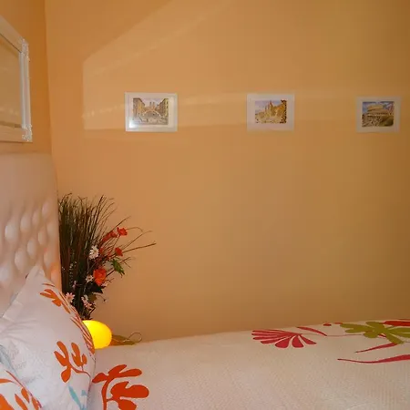 Orange Flower 1