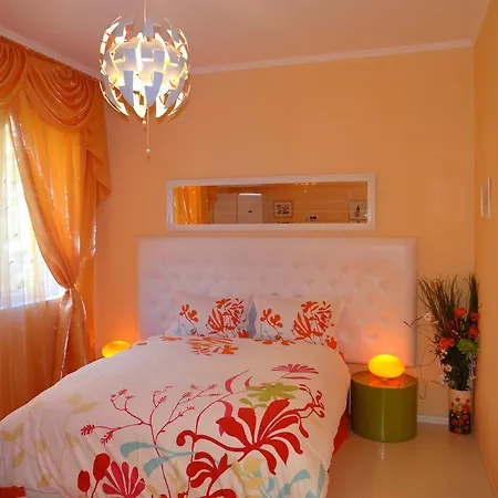 Orange Flower 1