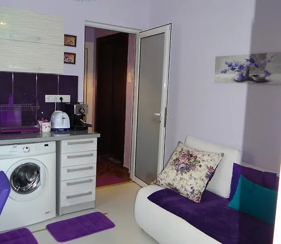 Apartament Orange Flower 1 *