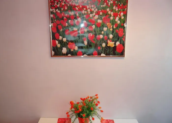 Orange Flower 1 Apartament