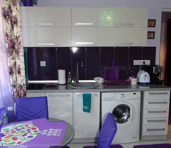 Orange Flower 1 Sofia