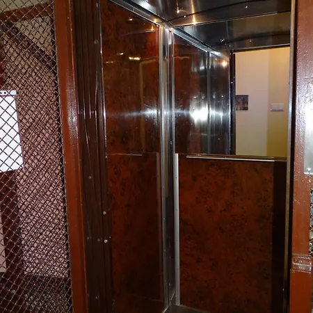 Orange Flower 1 * Sófia